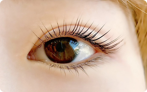 コスメティックラッシュパーマ キャンペーン